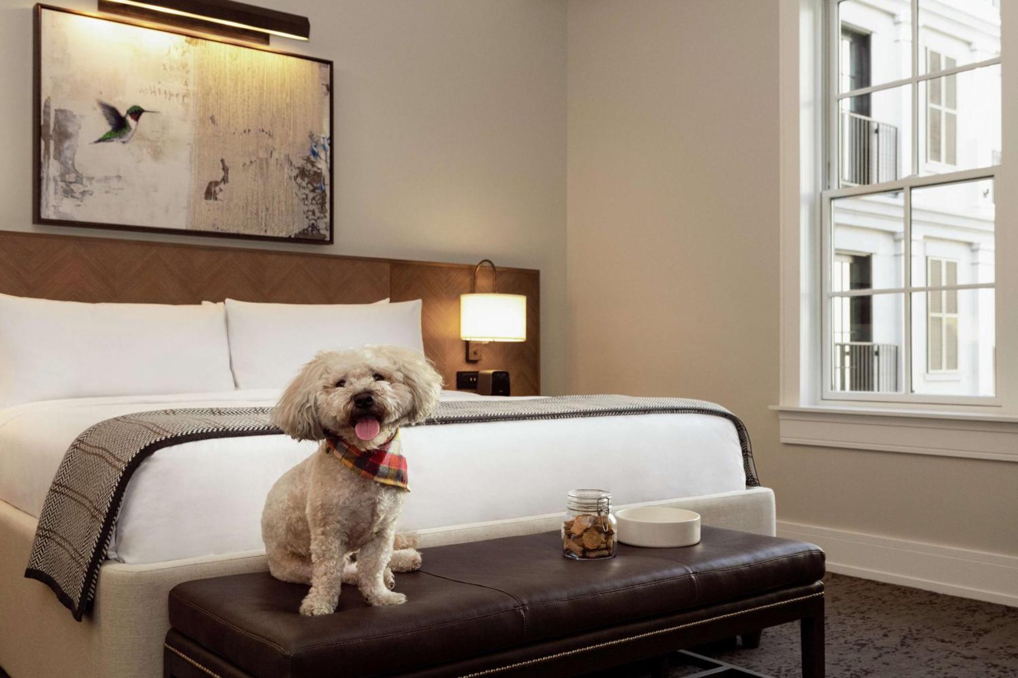 The Harpeth Downtown, Curio Collection By Hilton Hotel 4*